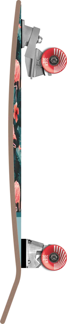 Skateboard surfskate Florida 32